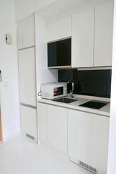 Loft @ Holland (D10), Apartment #201550652